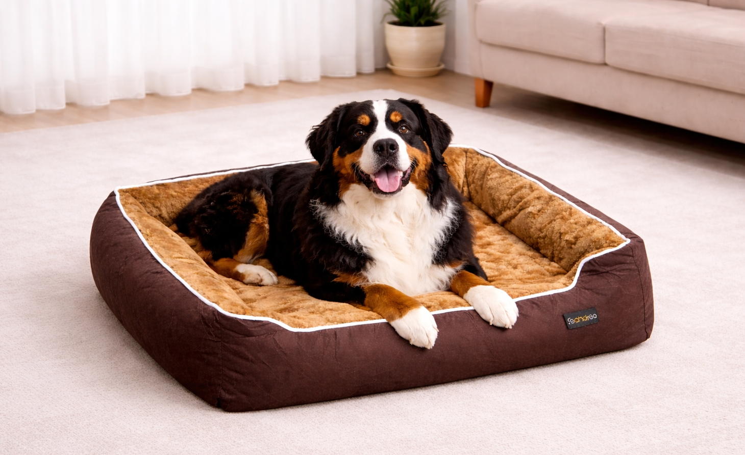 Cama rectangular feandrea para perros grandes de 90x60 cm- ultra suave y lavable