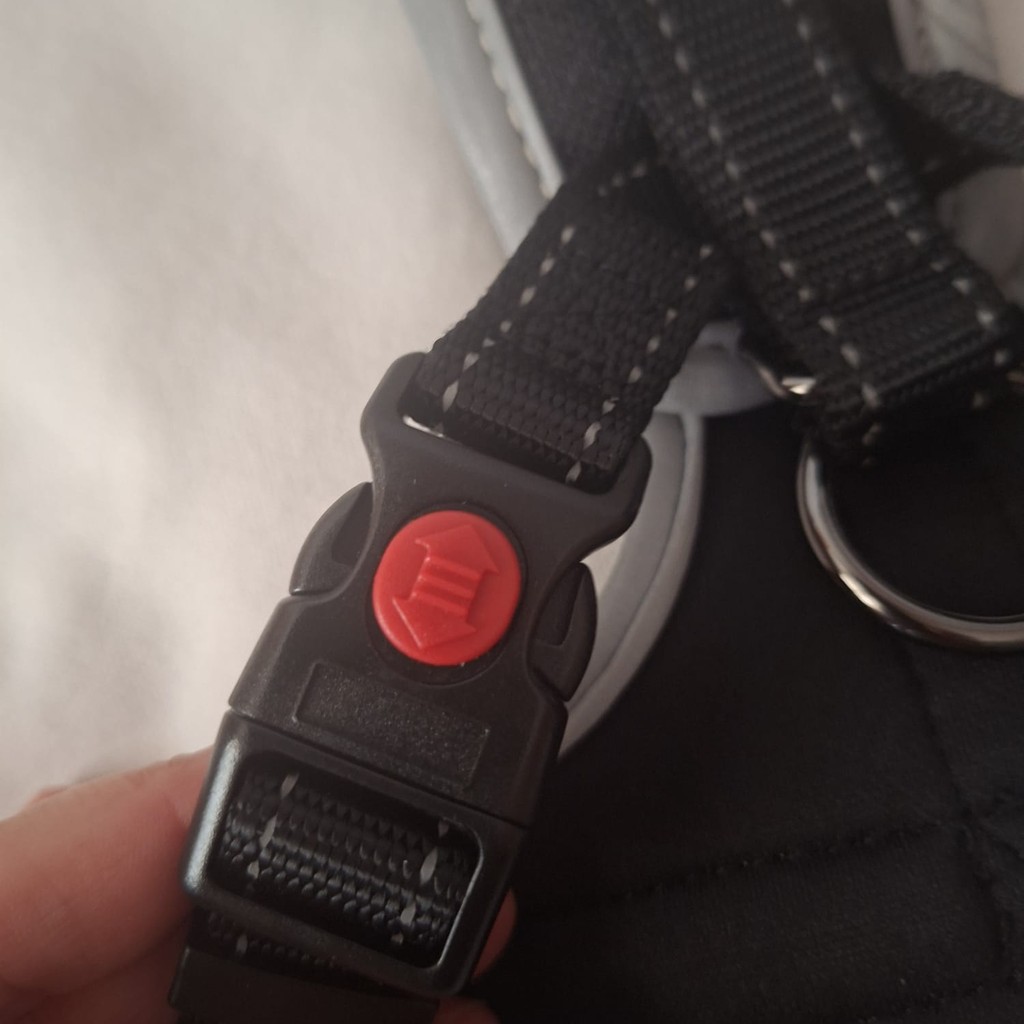 Arnés Ajustable para Perro con Correa Antitirones – Seguro, Cómodo y Reflectante - Imagen 2