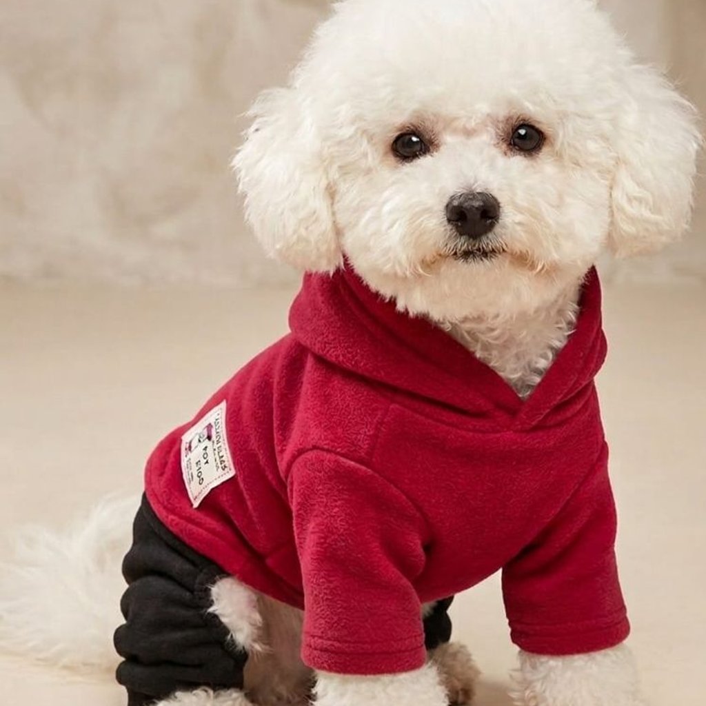 Ropa para Perro Talla M – Cómoda, Ligera y Ajuste Perfecto